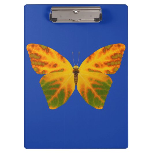 bladluzervlinder 1 klembord (Voorkant)