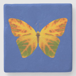 bladluzervlinder 1 stenen onderzetter