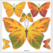 bladluzervlinder 1 sticker (Vel)