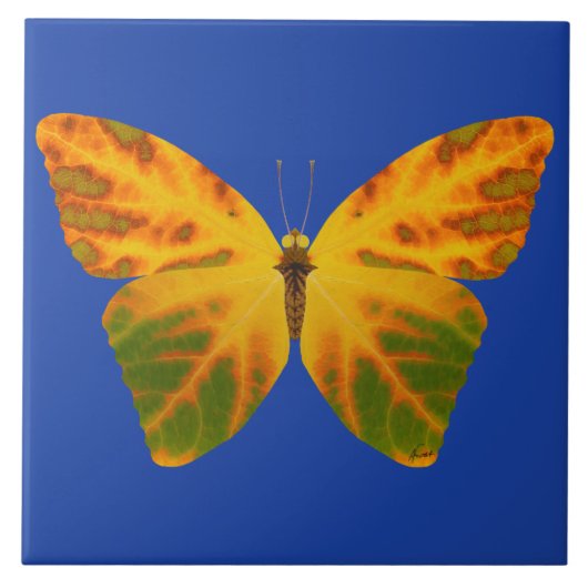 bladluzervlinder 1 tegeltje (Voorkant)