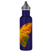 bladluzervlinder 1 waterfles (Rechts)