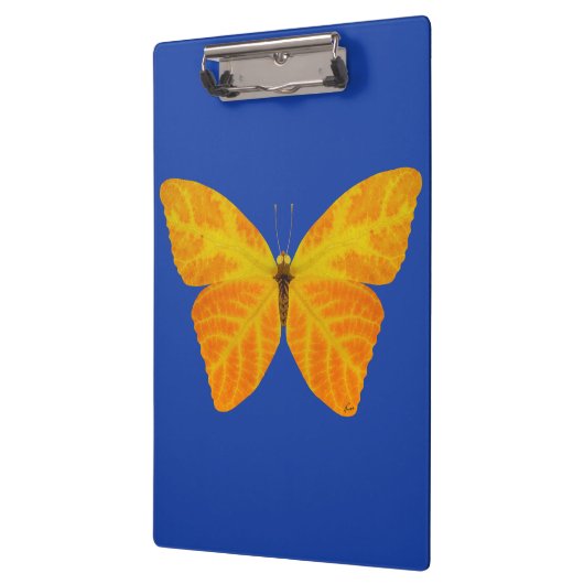 bladluzervlinder 3 klembord (Links)