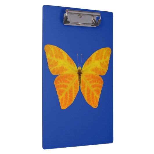 bladluzervlinder 3 klembord (Rechts)