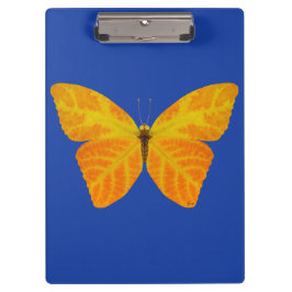 bladluzervlinder 3 klembord