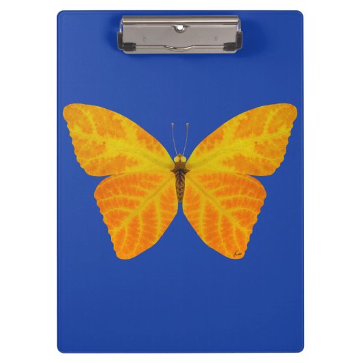 bladluzervlinder 3 klembord (Voorkant)