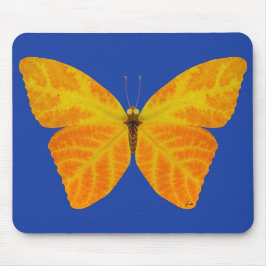 bladluzervlinder 3 muismat (Voorkant)