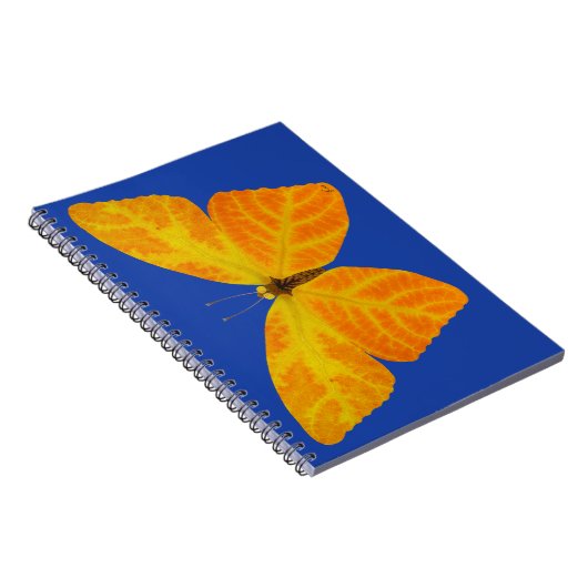bladluzervlinder 3 notitieboek (Rechterzijde)