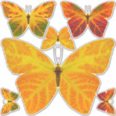 bladluzervlinder 3 sticker (Voorkant)