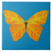 bladluzervlinder 3 tegeltje (Voorkant)