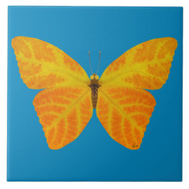 bladluzervlinder 3 tegeltje