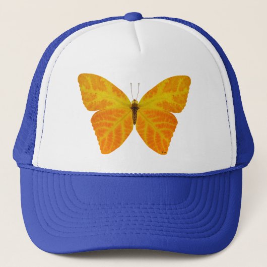 bladluzervlinder 3 trucker pet (Voorkant)