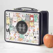 Bladmetaal Met Kat Lunchbox (In situ)