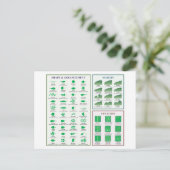Bladmorfologie Grafiek Margin Shape Venation Briefkaart (Staand voorkant)