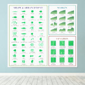 Bladmorfologie Grafiek Margin Shape Venation Canvas Afdruk (Insitu (Houten vloer))