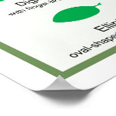 Bladmorfologie Grafiek Margin Shape Venation Poste Poster (Hoek)