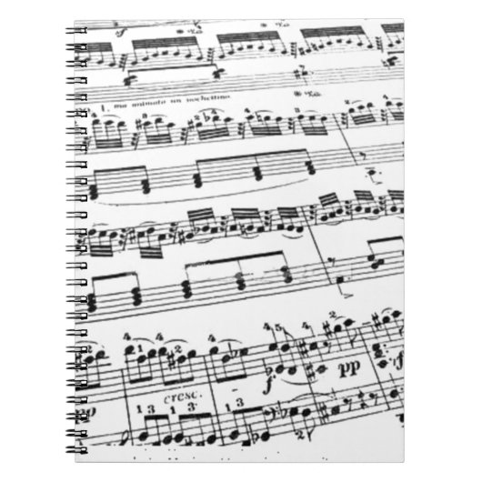 Bladmuziek Notitieboek (Voorkant)
