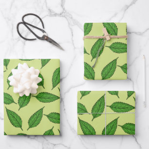 Bladpatroon, blad patroon, lente bladeren inpakpapier vel