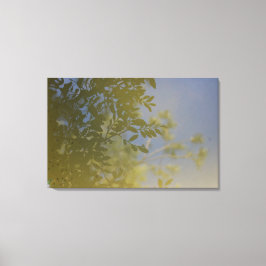 bladreflectie op water canvasprint canvas afdruk