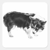 bladschaduwneuswerk vierkante sticker (Voorkant)