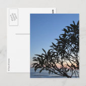 bladsilhouet briefkaart (Voorkant / Achterkant)