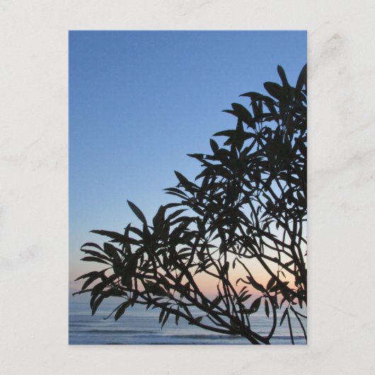 bladsilhouet briefkaart (Voorkant)