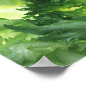 Bladsla Poster (Hoek)