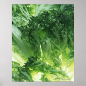 Bladsla Poster (Voorkant)