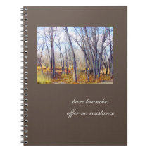 Bladtakken, geen weerstandsjournaal