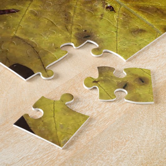 Bladvis Legpuzzel (Zijkant)