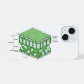 Bladweefselstructuur Plant celdiagram iPhone 15 Case (Achterkant horizontaal)