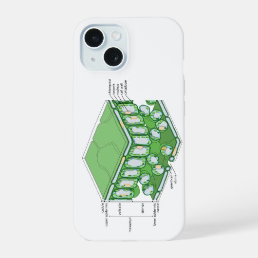Bladweefselstructuur Plant celdiagram iPhone 15 Case (Achterkant)