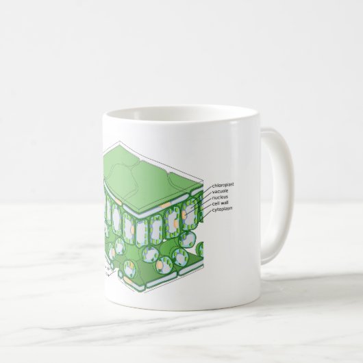 Bladweefselstructuur Plant celdiagram Koffiemok (Voorkant rechts)