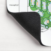 Bladweefselstructuur Plant celdiagram Muismat (Hoek)