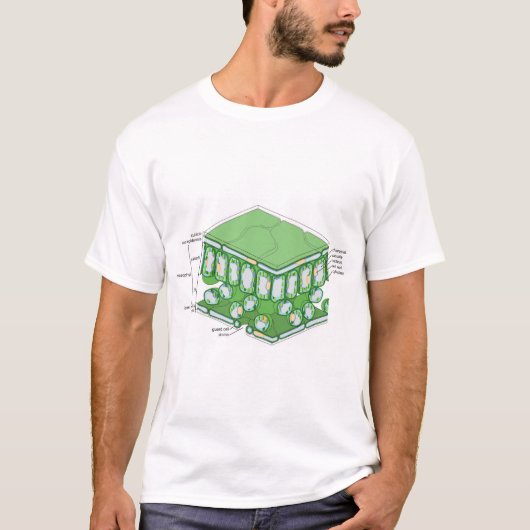 Bladweefselstructuur Plant celdiagram T-shirt (Voorkant)