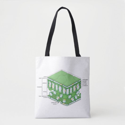 Bladweefselstructuur Plant celdiagram Tote Bag (Voorkant)