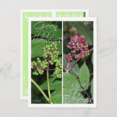 BLADWIJZER BRIEFKAART (Voorkant / Achterkant)