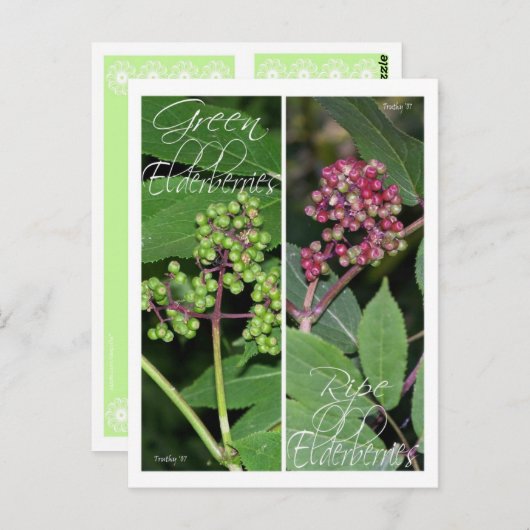 BLADWIJZER BRIEFKAART (Voorkant / Achterkant)