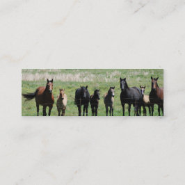 bladwijzer "Mares & Foals" Mini Visitekaartje
