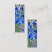 Bladwijzer van Agapanthus Visitekaartje (Voorkant / Achterkant)