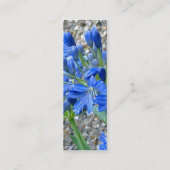 Bladwijzer van Agapanthus Visitekaartje (Achterkant)