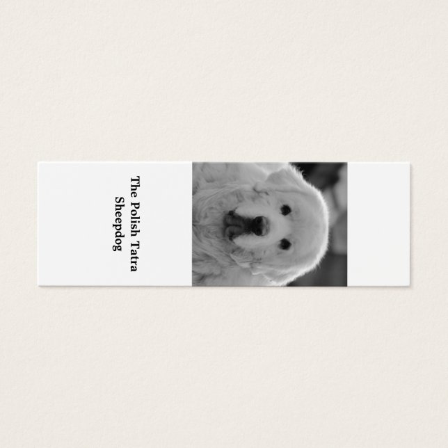 Bladwijzer van de Poolse Tatra Sheepdog Puppy Mini Visitekaartjes (Voorkant)