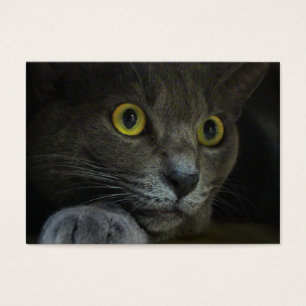 Bladwijzer Visitekaartje