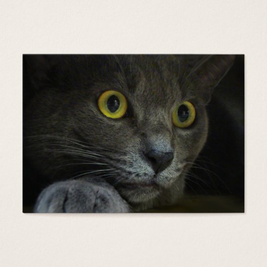 Bladwijzer Visitekaartje (Voorkant)