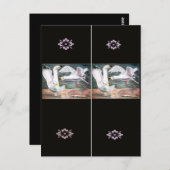 Bladwijzer voor de bestrijding van zeegarenden briefkaart (Voorkant / Achterkant)