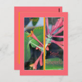 BLADWIJZER VOOR ZWEEFSELS BRIEFKAART (Voorkant / Achterkant)