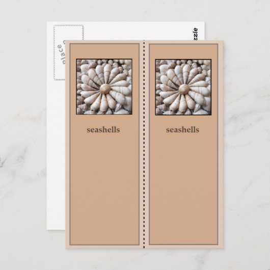 Bladwijzer zeeschelpen briefkaart (Voorkant / Achterkant)