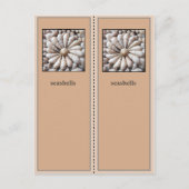Bladwijzer zeeschelpen briefkaart (Voorkant)