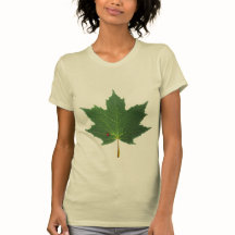 BLADZIJDE - COCCINELLE