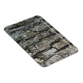 Blaf deze oude boom kan een geheim bewaren magneet (Rechterzijde)