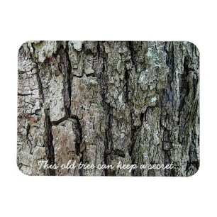 Blaf deze oude boom kan een geheim bewaren magneet